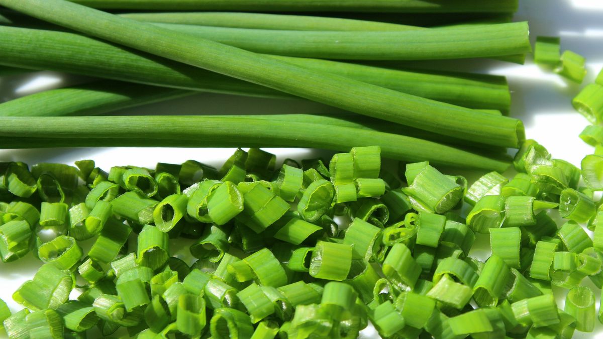 Premium Seeds of Chives ( 20 Seeds)