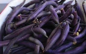 25 Seeds of Premium Purple Beans