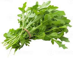 Premium Rocket /Arugula (50 Seeds)