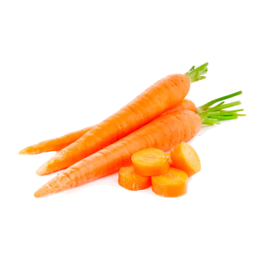 100 Premium Seeds of Shin Kuroda Carrots (Orange Carrots)
