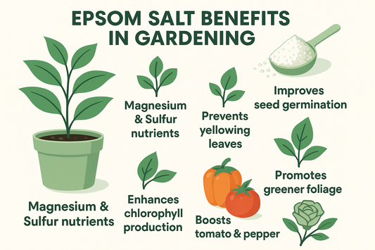 The Gardener's Secret Weapon: Unlocking the Incredible Benefits of Epsom Salt