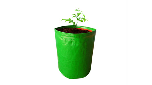 Grow plants in Grow Bags or planter Pots