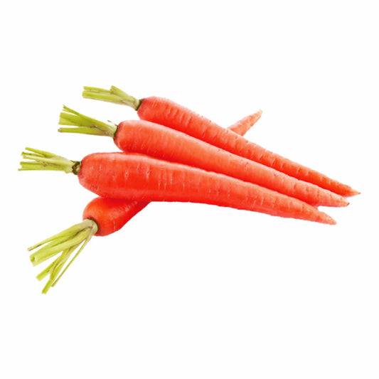 How to grow Red Carrots from seeds in India