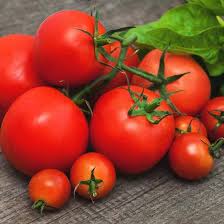 The Ultimate Guide to Growing Tomatoes Successfully