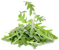 Premium Rocket /Arugula (50 Seeds)
