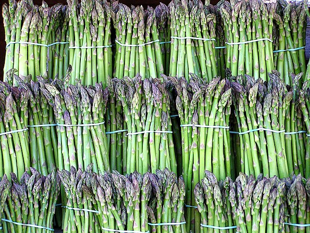 50 Premium Seeds of Asparagus (Mary Washington) Herb