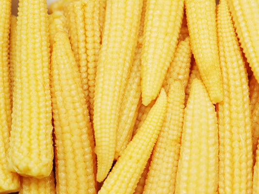 Premium Baby Corn Seeds ( 30 Seeds)