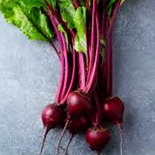 50 Premium Microgreen Beetroot (Chukander) Seeds