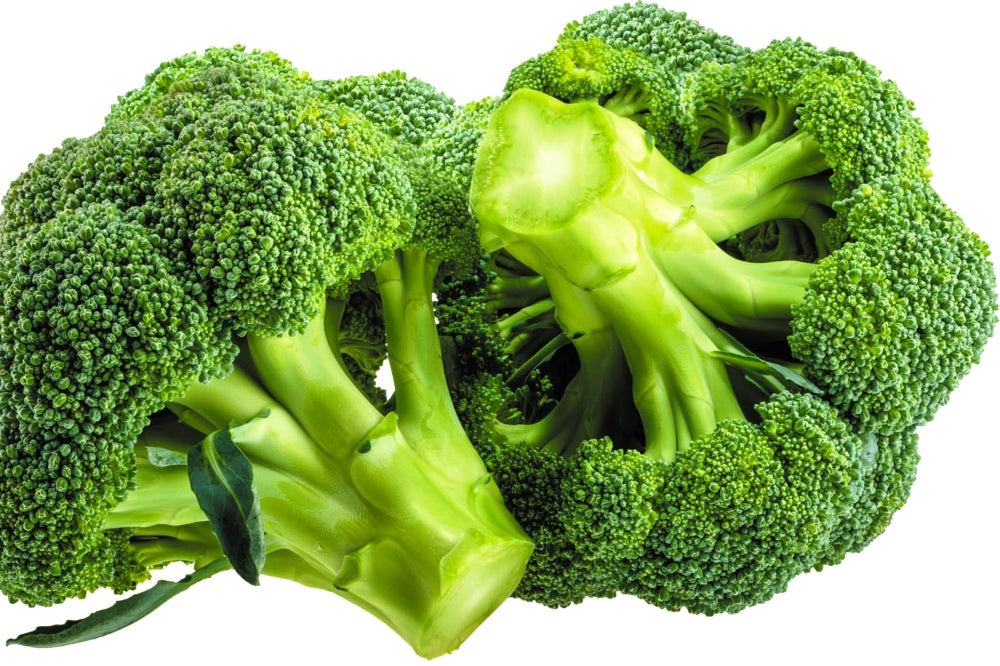 50 Premium Microgreen Hybrid Seeds of Broccoli