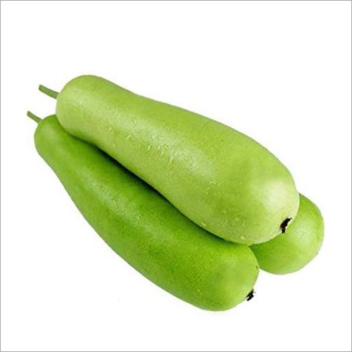 150 Premium Seeds of Bottle Gourd/ Lockey/ Ghiya/ घिया/ Doodhi/ Tumda / Ladu/ Lau/  Pechura/ Zeeth