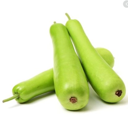 150 Premium Seeds of Bottle Gourd/ Lockey/ Ghiya/ घिया/ Doodhi/ Tumda / Ladu/ Lau/  Pechura/ Zeeth