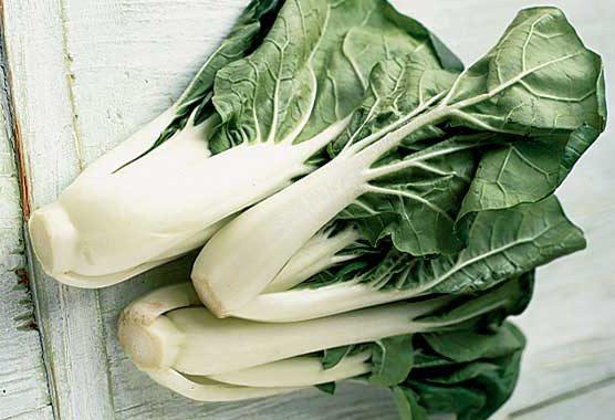 50 Seeds of Premium Pak Choi All Green