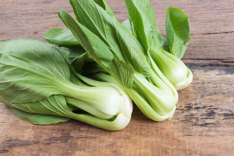 50 Seeds of Premium Pak Choi All Green