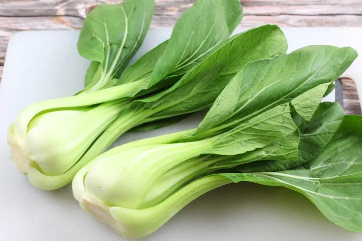 50 Seeds of Premium Pak Choi All Green