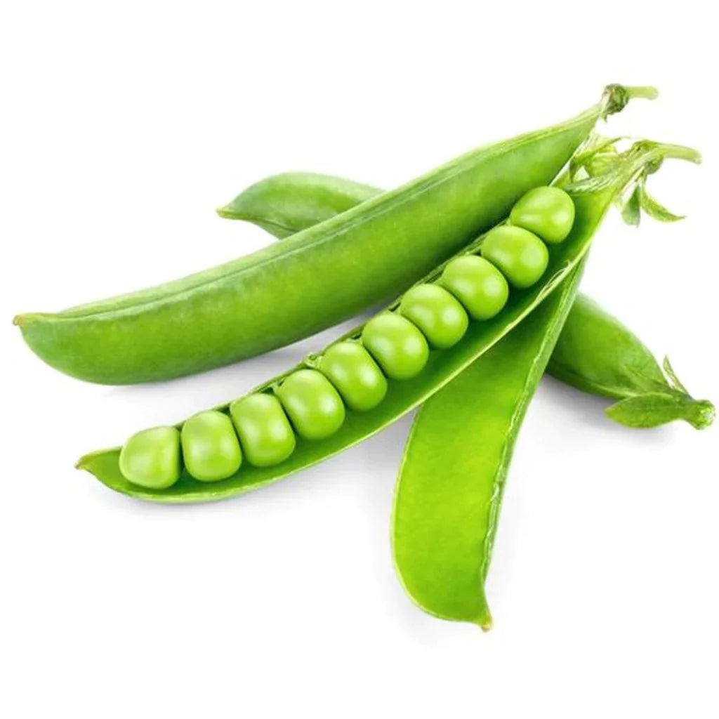 50 Premium High Yield Pea (Matar) Seeds