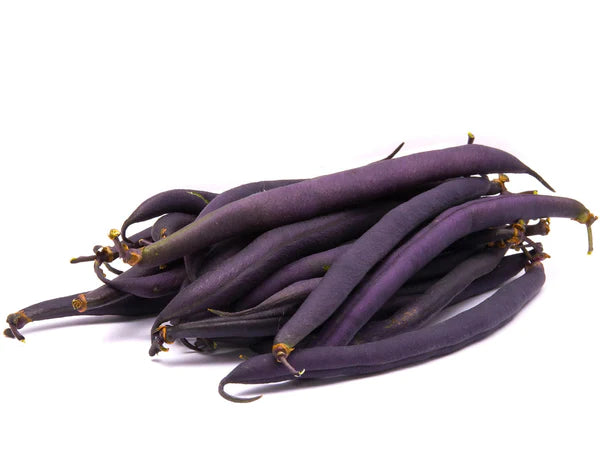 25 Seeds of Premium Purple Beans