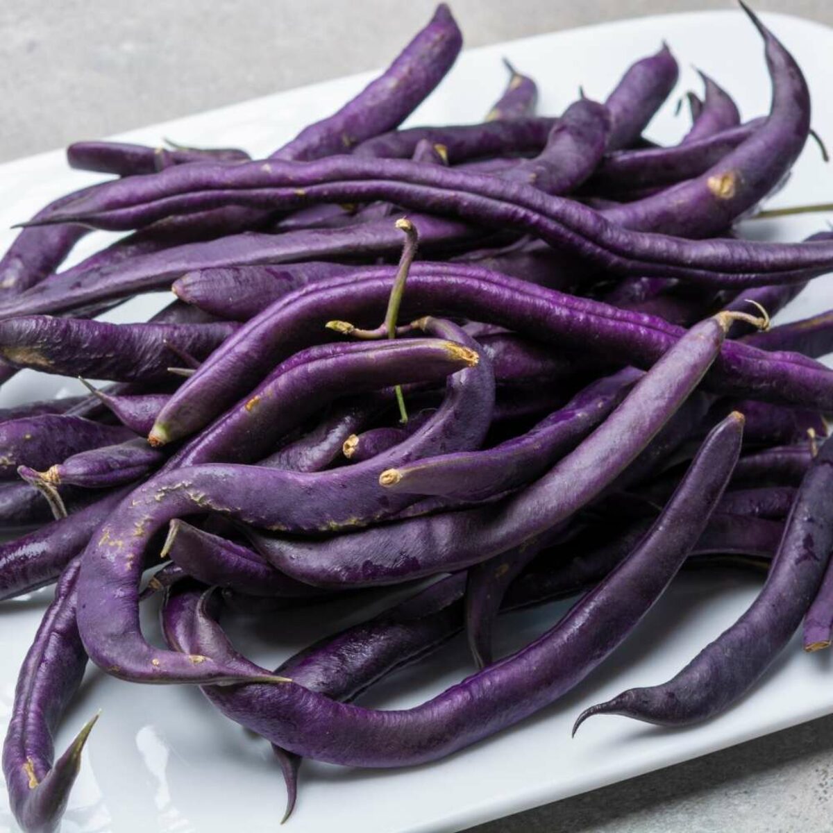 25 Seeds of Premium Purple Beans