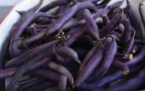 25 Seeds of Premium Purple Beans