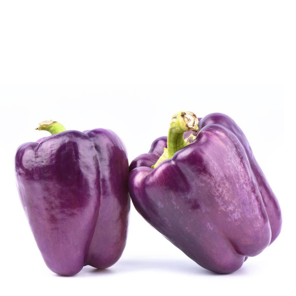 Premium Purple Capsicum Seeds (10 Seeds)