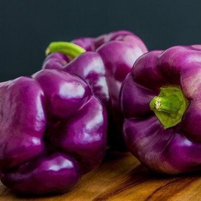 Premium Purple Capsicum Seeds (10 Seeds)