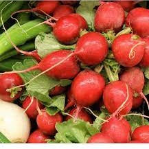 Radish Scarlet Red Globe (50 Seeds)