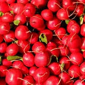 Radish Scarlet Red Globe (50 Seeds)