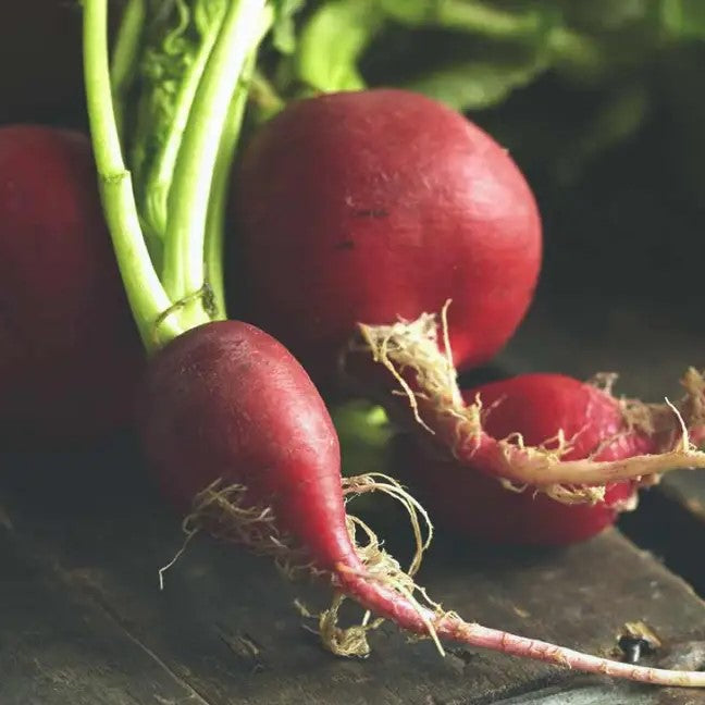 Radish Scarlet Red Globe (50 Seeds)