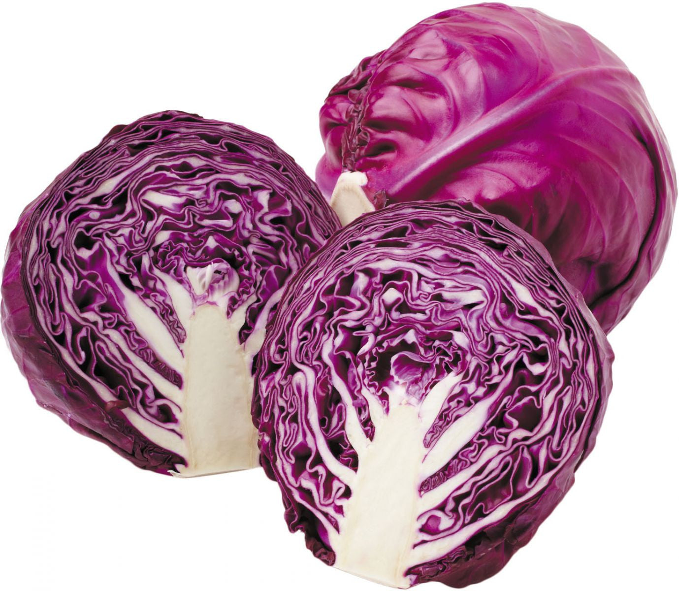 Premium Red Cabbage Seeds (50 Seeds)