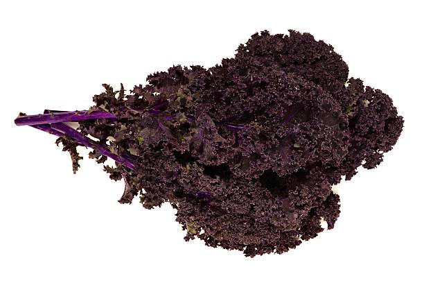 Premium Red Kale (50 Seeds)