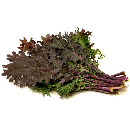 Premium Red Kale (50 Seeds)