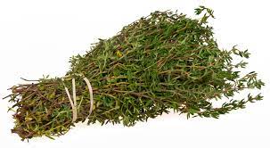 50 Premium Thyme Herb Seeds