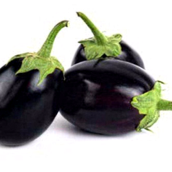 100 Baingan (Brinjal Black Beauty) Seeds