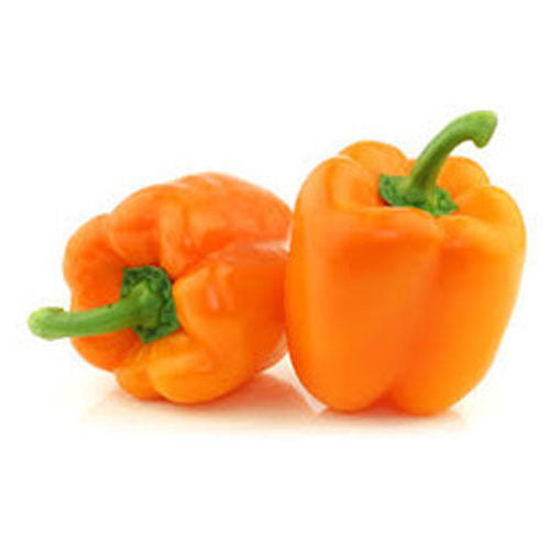 Premium Orange Capsicum Seeds with instruction Sheet (10 Seeds)