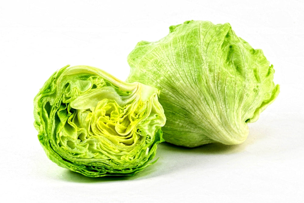 100 Premium Hybrid Seeds of Ice Lettuce