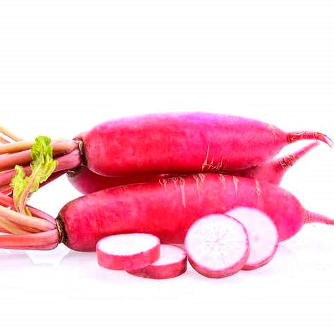 100 Premium Hybrid Seeds of Radish Red Long (Mooli)