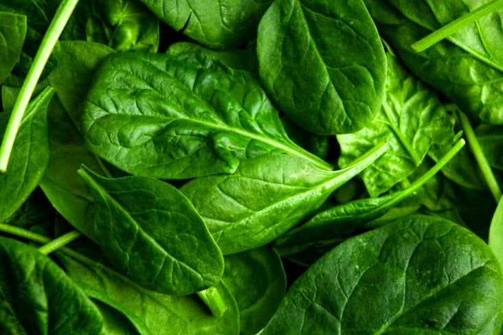 100 Premium Hybrid Seeds of Spinach (Paalak)